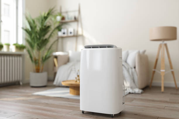 Best Ductless Mini-Split Systems in Mokuleia, HI